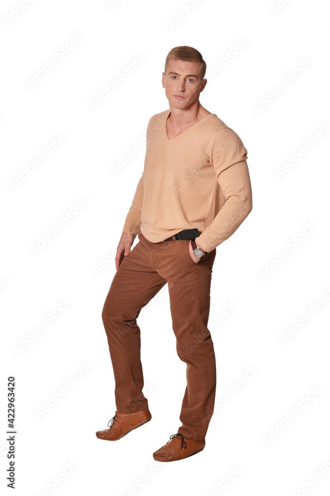 Fototapeta premium handsome young man wearing casual clothing