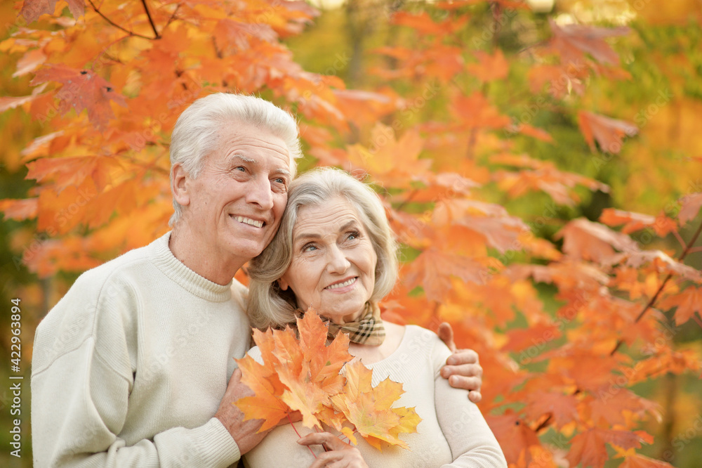 portrait of beautiful happy senior couple with autumn leaves portrait of beautiful happy senior couple with autumn leaves
