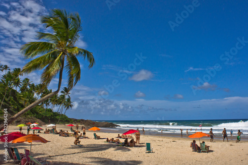 Fototapeta Naklejka Na Ścianę i Meble -  Itacare, Tropical beach view, Bahia, Brazil, South America