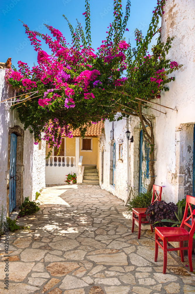 Picturesque street with white ancient greek houses and vibrant flowers of pink bougainvillea in old Afionas village on Corfu island, Greece. Famous touristic destination for summer vacation