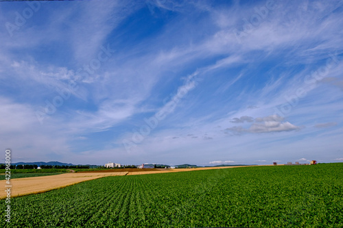 秋の北見市端野町の風景
