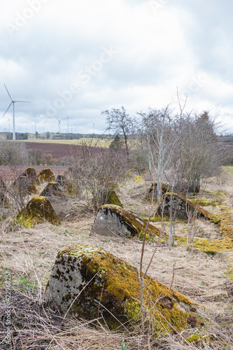 Tank traps from WWII in Germany near the border with Belgium  photo