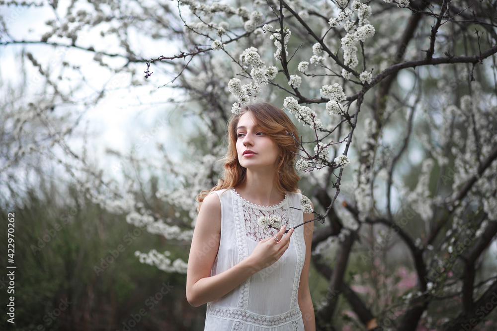 beautiful girl in a white dress walks in the garden, sakura blooming, spring bloom beautiful girl in a white dress walks in the garden, sakura blooming, spring bloom