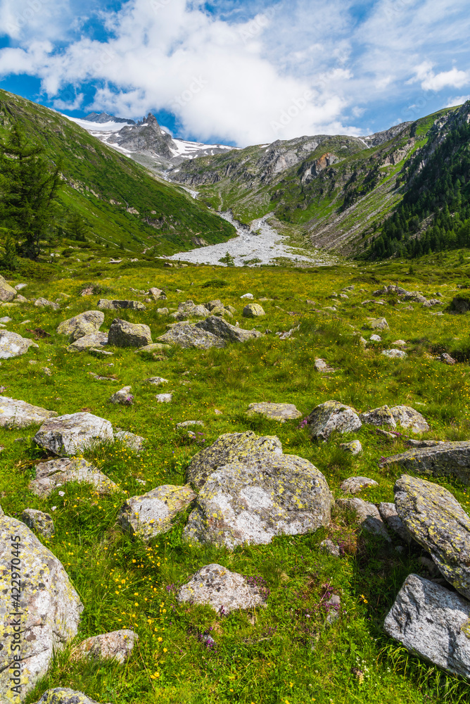 Immersion in the nature of the Ahrntal and Tures valleys