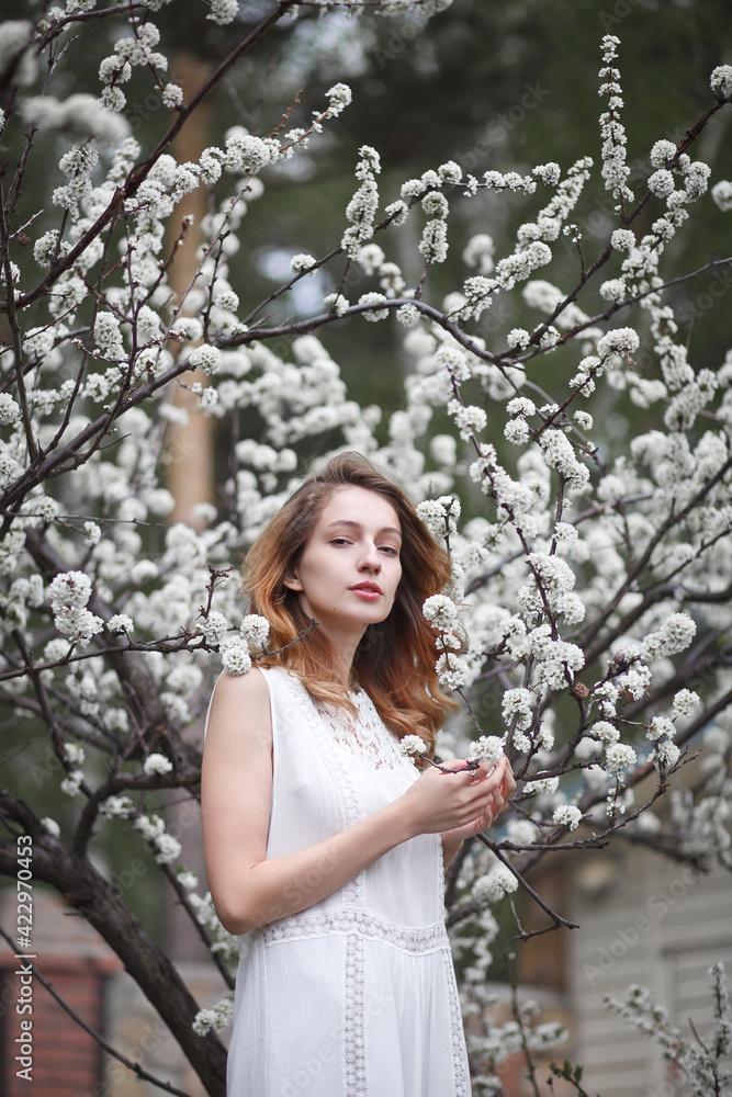 beautiful girl in a white dress walks in the garden, sakura blooming, spring bloom beautiful girl in a white dress walks in the garden, sakura blooming, spring bloom