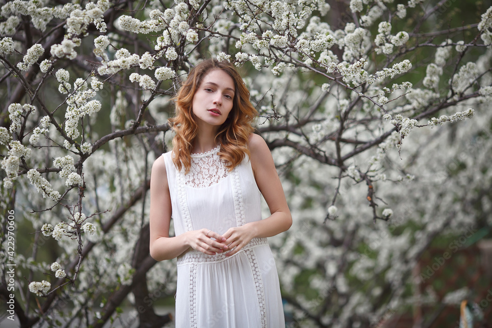 beautiful girl in a white dress walks in the garden, sakura blooming, spring bloom beautiful girl in a white dress walks in the garden, sakura blooming, spring bloom