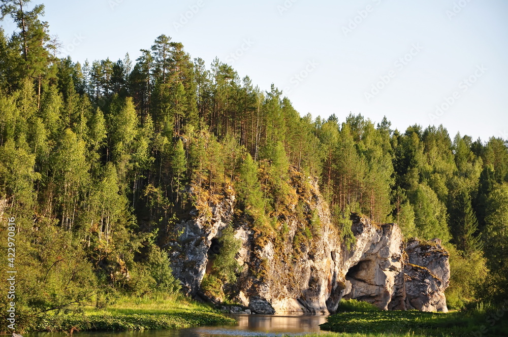 Outdoor summer landscape of the cliff, overgrown with trees by the lake.
