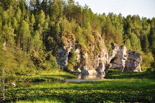 Landscape of a green meadow by the lake and an overgrown cliff covered with shrubs and trees.