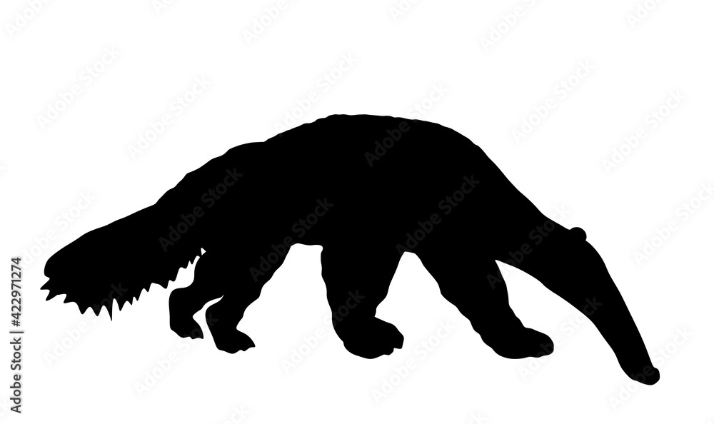 Giant anteater vector silhouette illustration isolated on white background. Ant eater animal symbol, from South America.