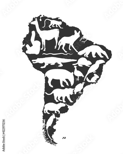 Continent map Southern America vector silhouette with wild animals. Travel destination for tourist. Wildlife exotic attraction jaguar, chinchilla, cayman, capybara, lama, giant anteater, macaw parrot. photo