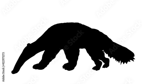 Giant anteater vector silhouette illustration isolated on white background. Ant eater animal symbol, from South America.