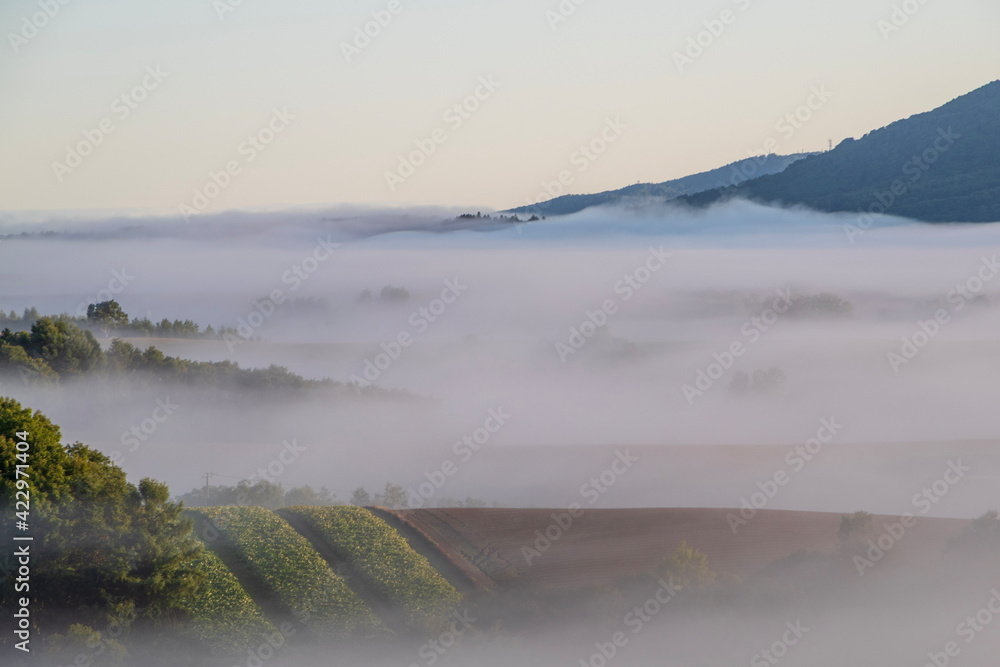 芦別市新城町の朝霧の風景
