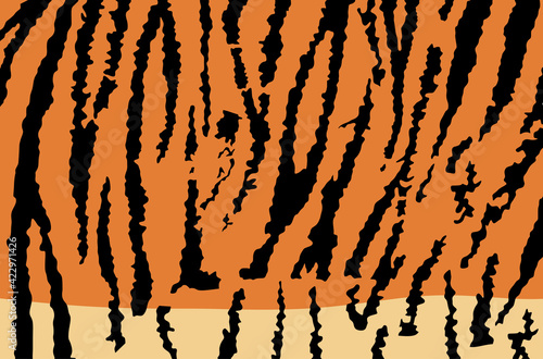 Tiger skin pattern vector illustration. Fashion animal print. Asian animal texture. Tiger fur background flag.