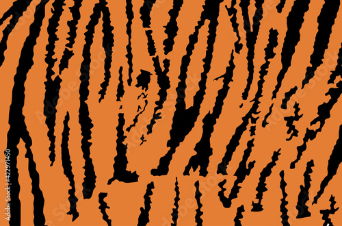 Tiger skin pattern vector illustration. Fashion animal print. Asian animal texture. Tiger fur background flag.