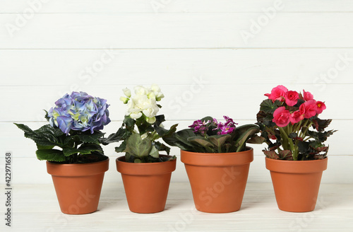 Different beautiful blooming plants in flower pots on white wooden table