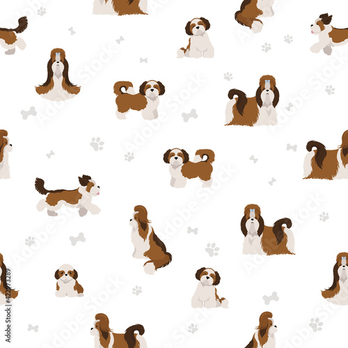 Shih Tzu poses, coat colors seamless pattern. © a7880ss