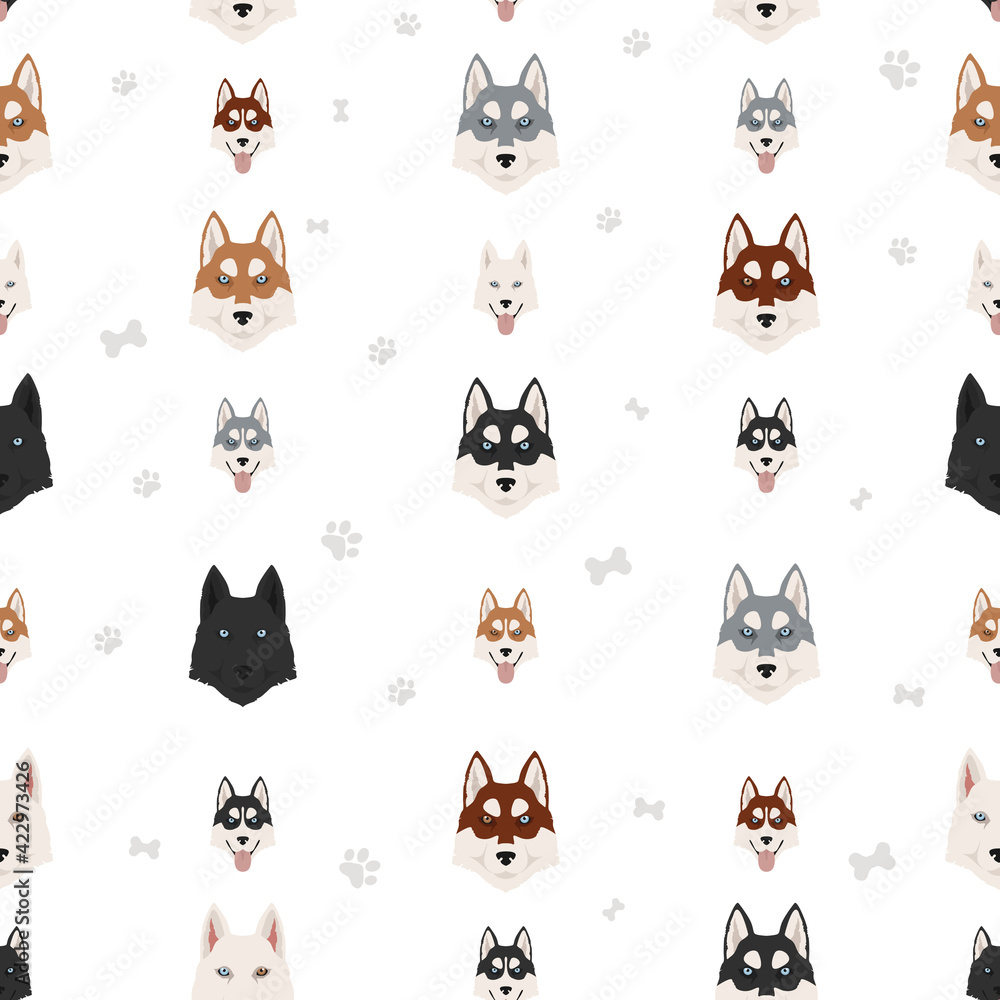 Siberian husky poses, coat colors seamless pattern.