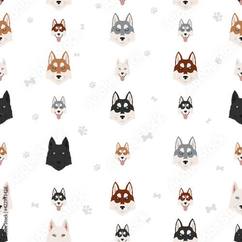 Siberian husky poses, coat colors seamless pattern.
