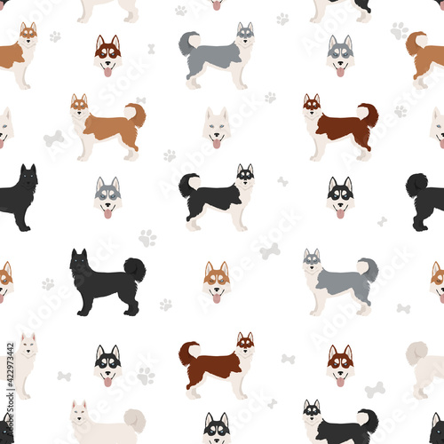 Siberian husky poses, coat colors seamless pattern.