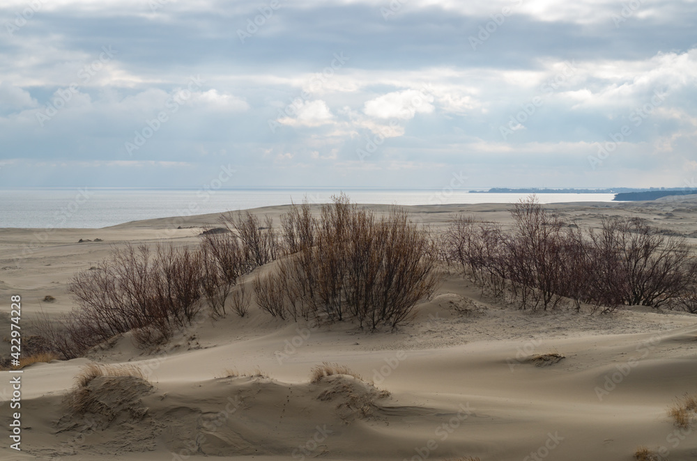Sand dunes on the beach. Desert landscape. Sand dunes on the beach. Desert landscape.