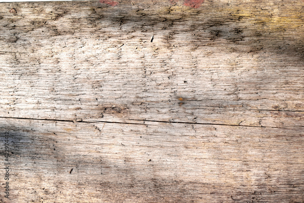 wooden background from untreated wood, close-up wooden background from untreated wood, close-up