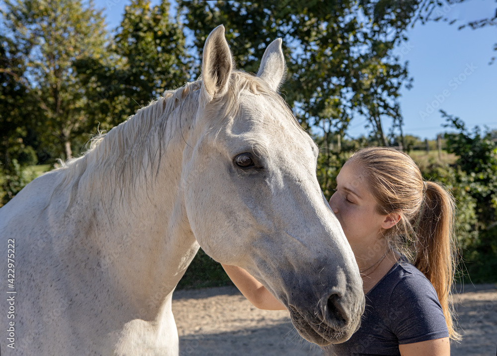 Obraz premium Pferdeliebe: junge blonde Frau schmust mit ihrem entspannten, vertrauten Schimmel in der Sonne auf dem Reitplatz