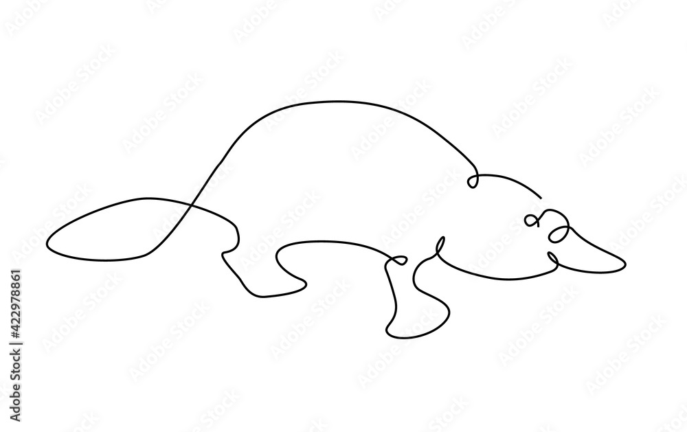 Platypus one line. Australian platypus in outline. Platypus one line. Australian platypus in outline.
