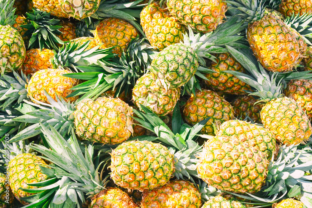 Fresh ripe pineapples as a background. Market in Dominican Republic Fresh ripe pineapples as a background. Market in Dominican Republic