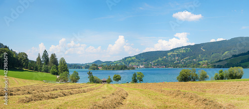 summer field upper bavarian landscape  lake Schliersee tourist destination