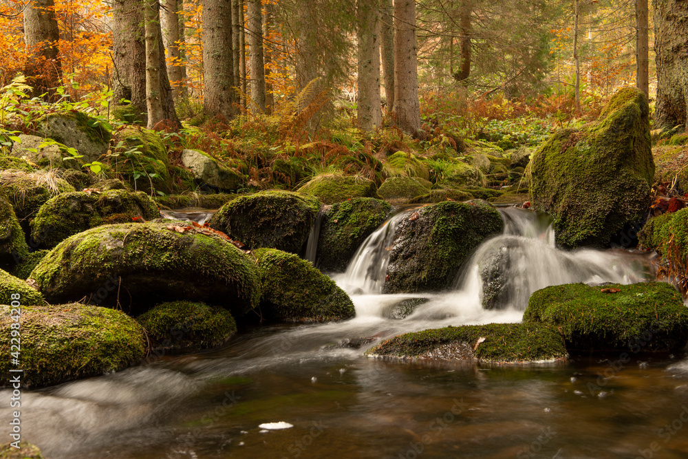 Trees, rocks and a running river is a pretty idyllic autumn forest