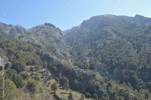 Mountains and trees in Alcazar park natural, Alcaucin, Spain photo