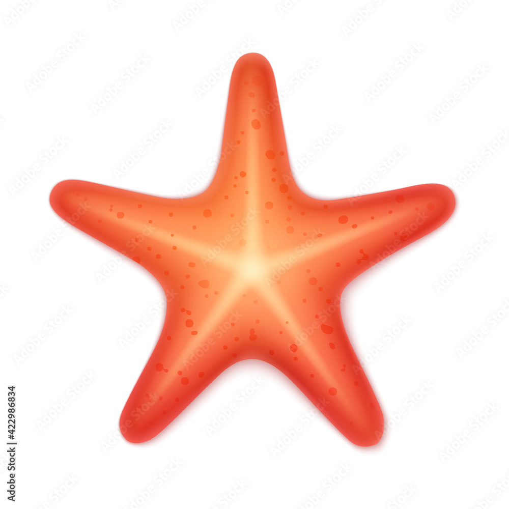 Red starfish. Marine creature. Realistic vector illustration, isolated on white background. Red starfish. Marine creature. Realistic vector illustration, isolated on white background.