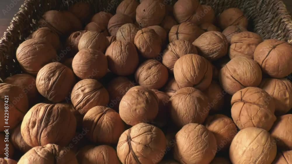 close up of nuts close up of nuts