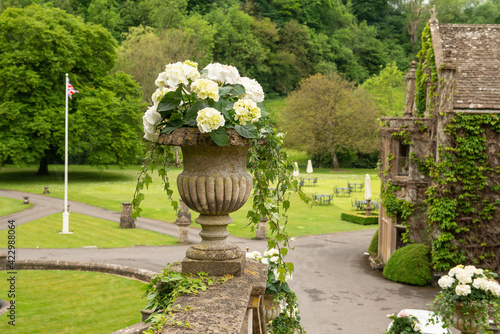 Large stone antique flowerpot with hortensia flowers with a view on the garden en bibury court hotel photo