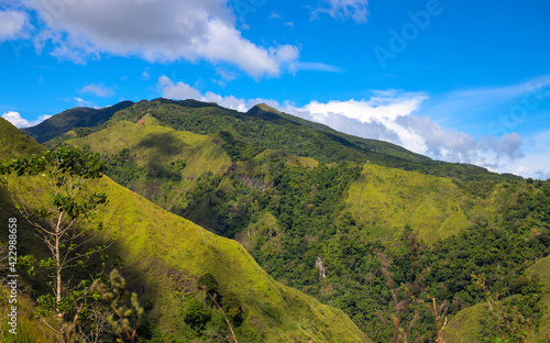 Green mountain and distant forest under blue sky optimistic landscape. Rural land scenery. Summer travel hiking in green hills. Untouched nature parkland. Volcanic island relief