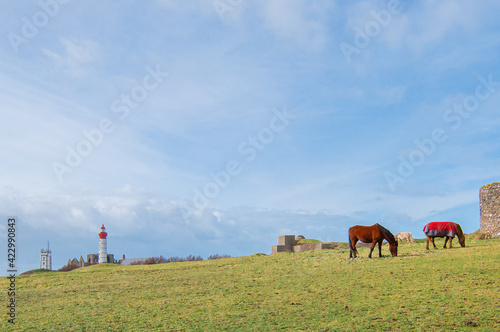 Le phare breton