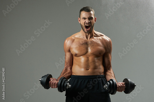 Exited handsome bodybuilder with powerful torso building up muscles with dumbbells in room indoors © Friends Stock