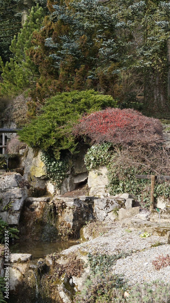 Sprouts and flowers in the botanical garden in the spring