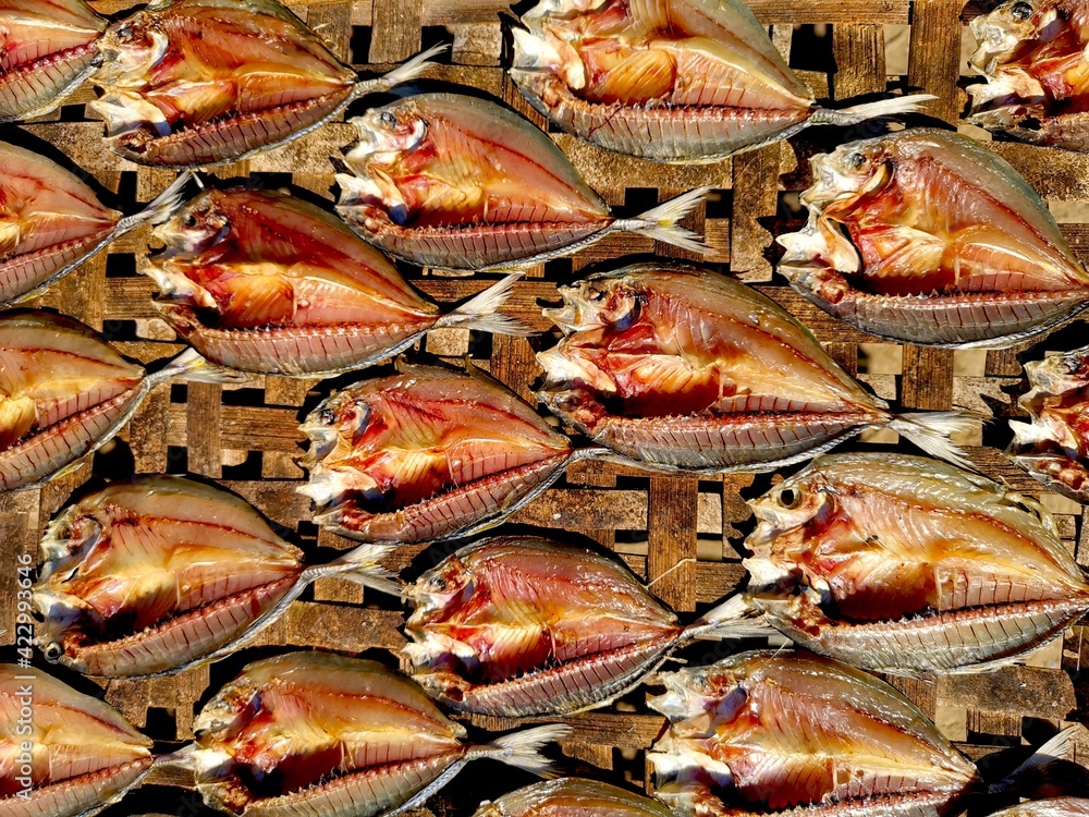 drying of salted dried fish in Thailand