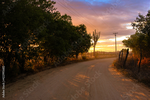 Estrada de chão de terra no sertão entardecer por do sol colorido lindo raios de sol fazenda rural no interior passeio  photo
