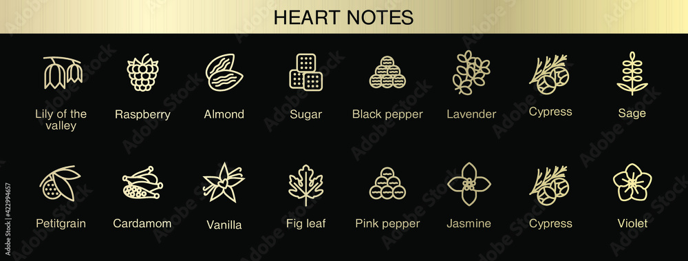 Vector icons aromas heart notes. Top notes pyramid chart with examples of popular aroma essences. Smell categories are oriental, woody, fresh and floral. Trend  examples of scents. - obrazy, fototapety, plakaty 