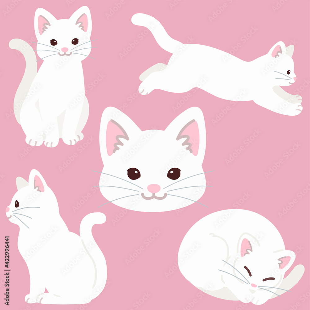 Set of simple and adorable white cat illustrations flat colored