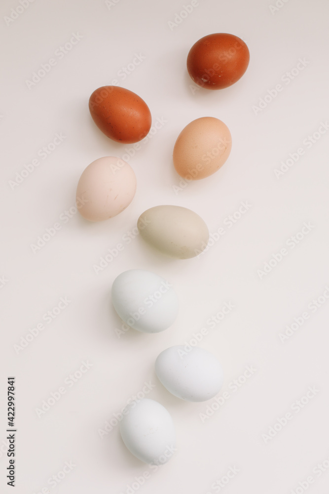 fresh chicken eggs of natural shades and colors on a white background fresh chicken eggs of natural shades and colors on a white background