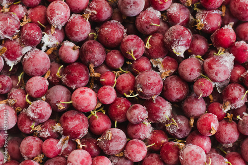 Frozen berries of red gooseberries with hoarfrost, background