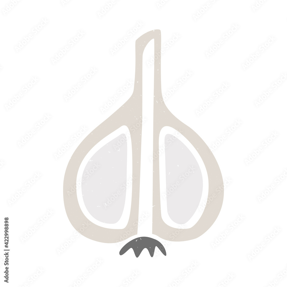Cute garlic cut in half icon isolated on white background. Colorful pictogram original design. Can be used for infographics, identity or decoration. Vector shabby hand drawn illustration Cute garlic cut in half icon isolated on white background. Colorful pictogram original design. Can be used for infographics, identity or decoration. Vector shabby hand drawn illustration