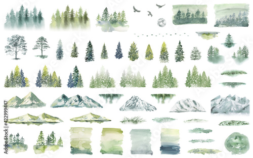 Watercolor Forest tree illustration. Mountain landscape. Woodland pine trees. Green Forest.