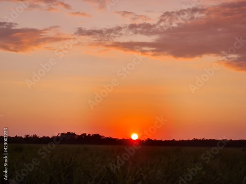 sunset over the field © Danny
