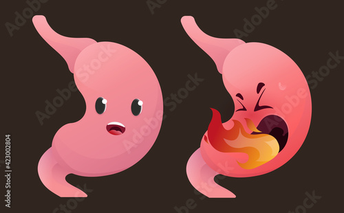 Healthy unhealthy stomach suffering from heartburn concept. Vector organ, cartoon style.