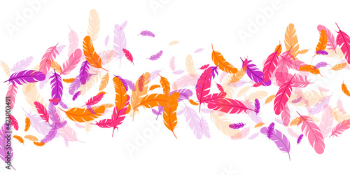 Orange purple pink red feather floating background