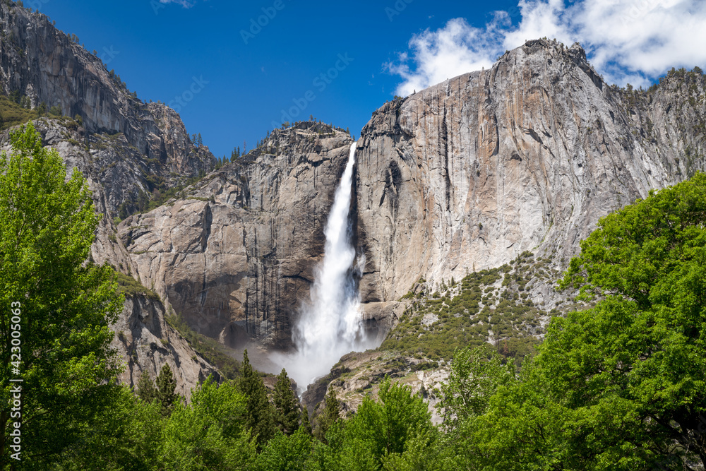 Yosemite Falls Spring Yosemite National Park California USA Yosemite Falls Spring Yosemite National Park California USA
